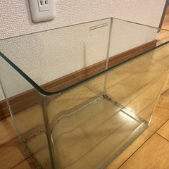 ③人気の角丸ガラス水槽(小)の画像
