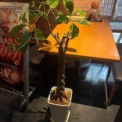 お花瓶の画像