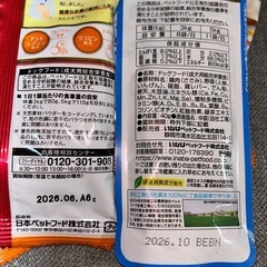 【ドックフード🐶】の画像