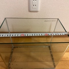 ④人気の角丸ガラス水槽(小)の画像