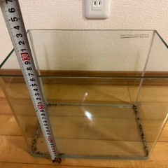 ④人気の角丸ガラス水槽(小)の画像