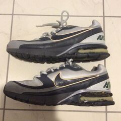 ランニングシューズ用　AirMaXエアマックス　加水分解の画像