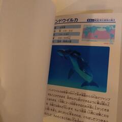 じゆうちょうの画像