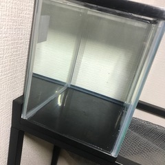 GEX 30センチ水槽の画像