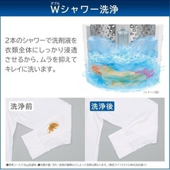 東芝 AW-5GA4(W) ピュアホワイト [全自動洗濯機 (5.0kg)]2024年式の画像