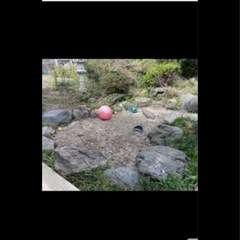 無料　日本庭園の石の画像
