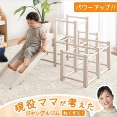 木製
すべり台付きジャングルジムの画像