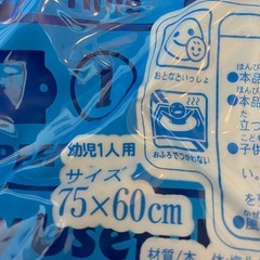 トーマス　幼児用浮き輪の画像