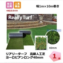 リアリーターフの画像