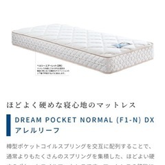 【41%OFF】【美品女性使用】dream bed ダブルベッド マットレスの画像