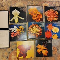 昭和レトロ LPレコードまとめ売り ヴィンテージ 02の画像