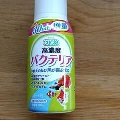 お得なメダカのセットの画像