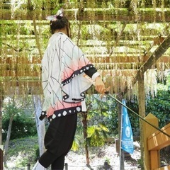 日輪刀　胡蝶しのぶの画像