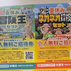 東南植物楽園 夏休み冒険セット＋ネオパークオキナワ ネオネオ探検隊セット5枚の画像