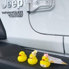 ジープディーラーダックのイエローダッグの画像
