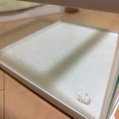 爬虫類用飼育ケースの画像