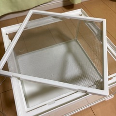 爬虫類用飼育ケースの画像