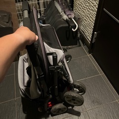 小型犬用のドックカート
の画像