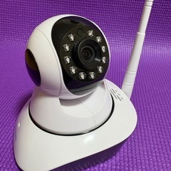 ペットカメラ（見守りカメラ）の画像