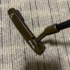 PING  ANSER2の画像