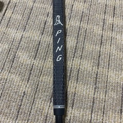 PING  ANSER2の画像