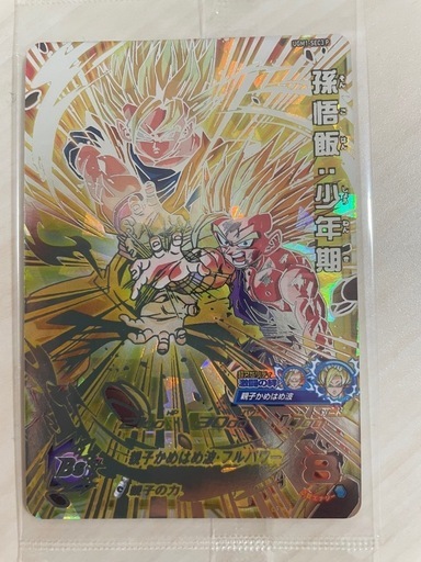 ドラゴンボール - あきび　ドラヒカード+オマケ 61y+MjZiswL._UF350,350_QL50_.jpg