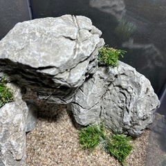 【価格固定】青華石レイアウトセット（青華石のみ）の画像