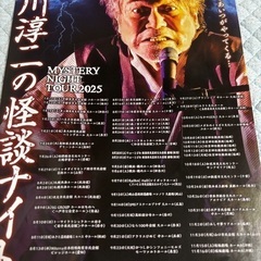 稲川淳二怪談ナイト2025チケット2枚の画像