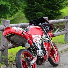 HONDA NS-1 の画像