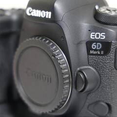 【値下げしました】Canon EOS 6D mark2 本体 バッテリーグリップつきの画像