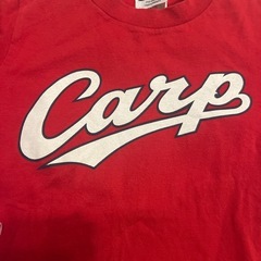 carp Tシャツの画像