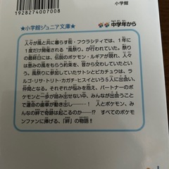 ポケットモンスターみんなの物語の画像