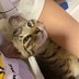 ランキングキーワードに紐づく投稿画像-ブリーダー
