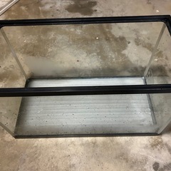 水そうの画像