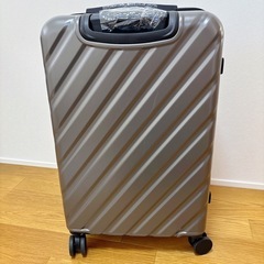 【新品】 キャリーケース　L スーツケース　グレーケース 拡張機能付き TSAロックの画像