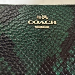 coach 蛇柄　長財布　Bランクの画像