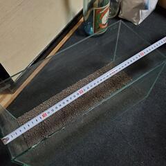 水槽の画像