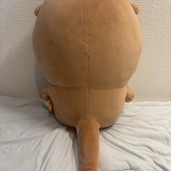 ナガノのカワウソくじ　B賞Lサイズの画像