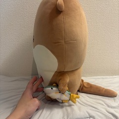 ナガノのカワウソくじ　B賞Lサイズの画像