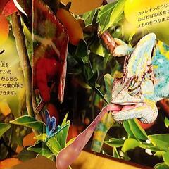 飛び出す絵本　ジャングルのいきものの画像