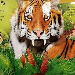 飛び出す絵本　ジャングルのいきものの画像