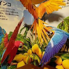 飛び出す絵本　ジャングルのいきものの画像