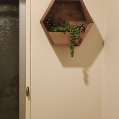 Kirkland display fake  plants ￥4500大きさは25センチ四方です。の画像