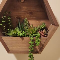 Kirkland display fake  plants ￥4500大きさは25センチ四方です。の画像
