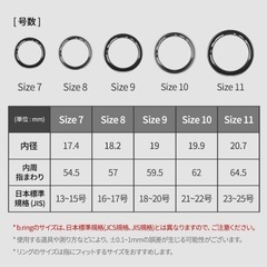 b.ring スマートリング チタン製 US11号サイズの画像