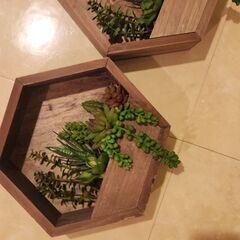 Kirkland display fake  plants ￥4500大きさは25センチ四方です。の画像