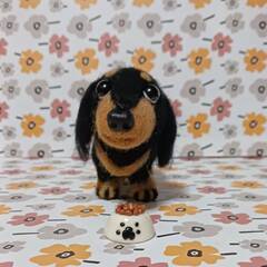 羊毛フェルト 　大きめダックスフンド２０cm　餌付きの画像