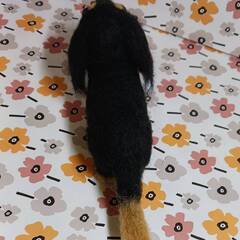 羊毛フェルト 　大きめダックスフンド２０cm　餌付きの画像