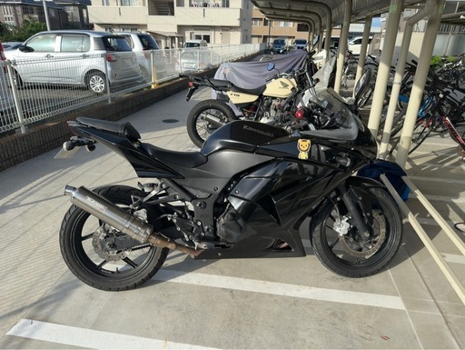 NINJA250R 機関良好
