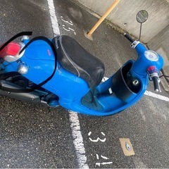 ホンダ ジョルノ HONDA GIORNO (AF70)の画像